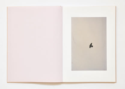 Ola Rindal - The Cloud the Bird and the Puddle