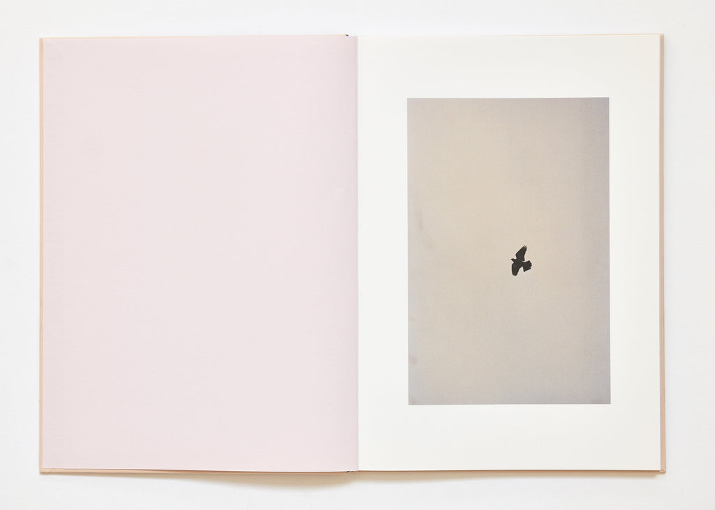 Ola Rindal - The Cloud the Bird and the Puddle