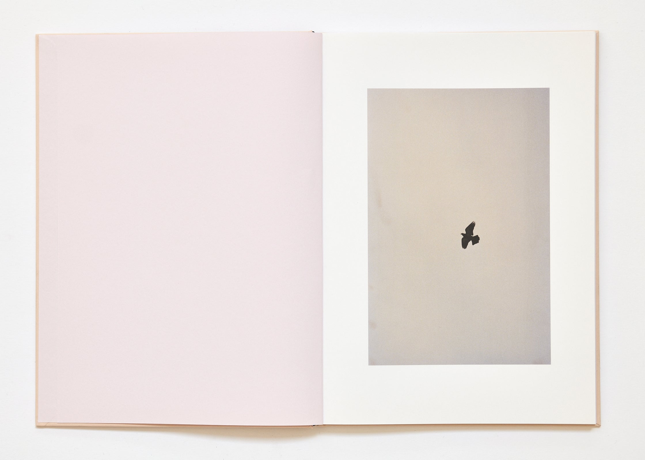 Ola Rindal - The Cloud the Bird and the Puddle