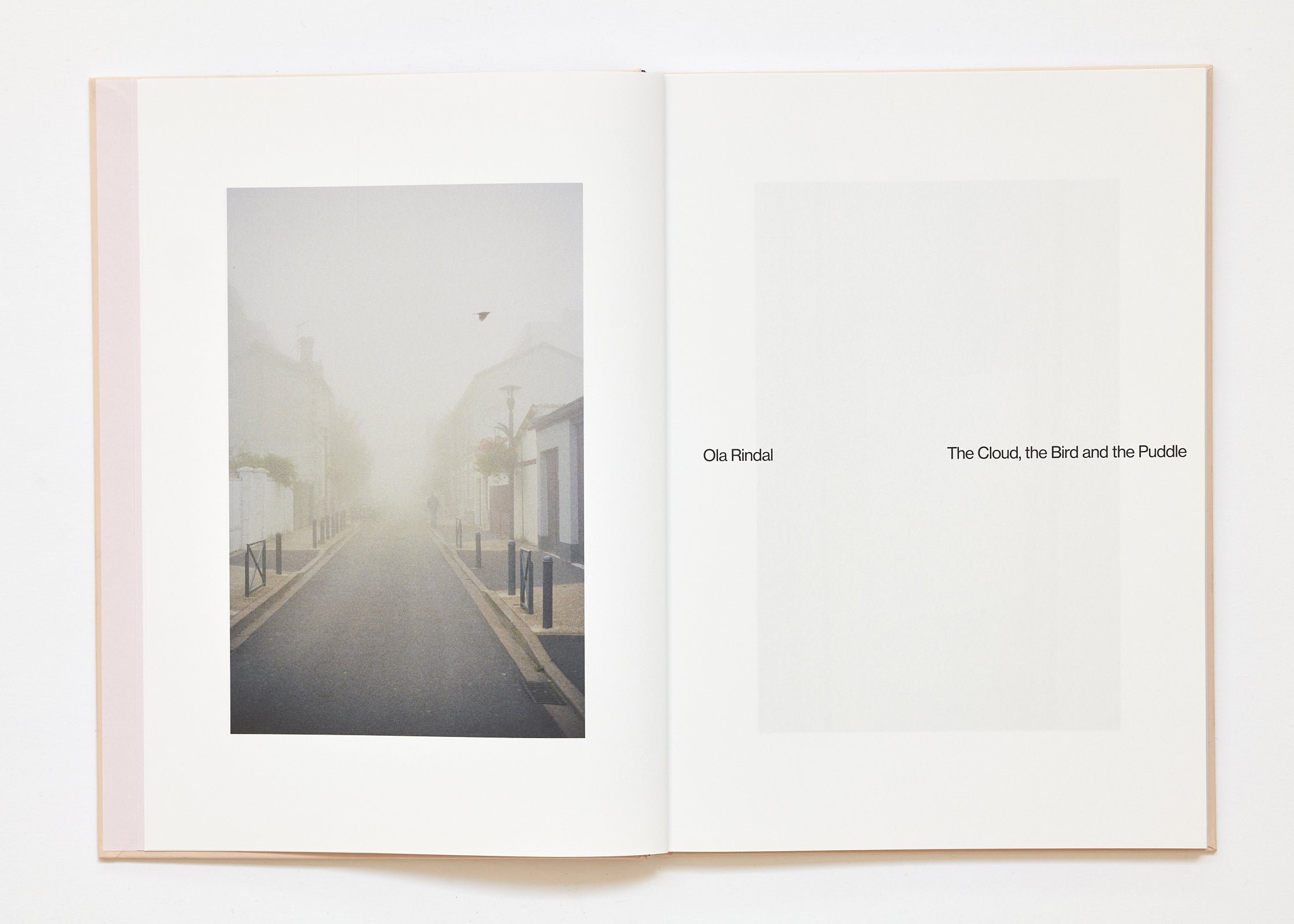 Ola Rindal - The Cloud the Bird and the Puddle