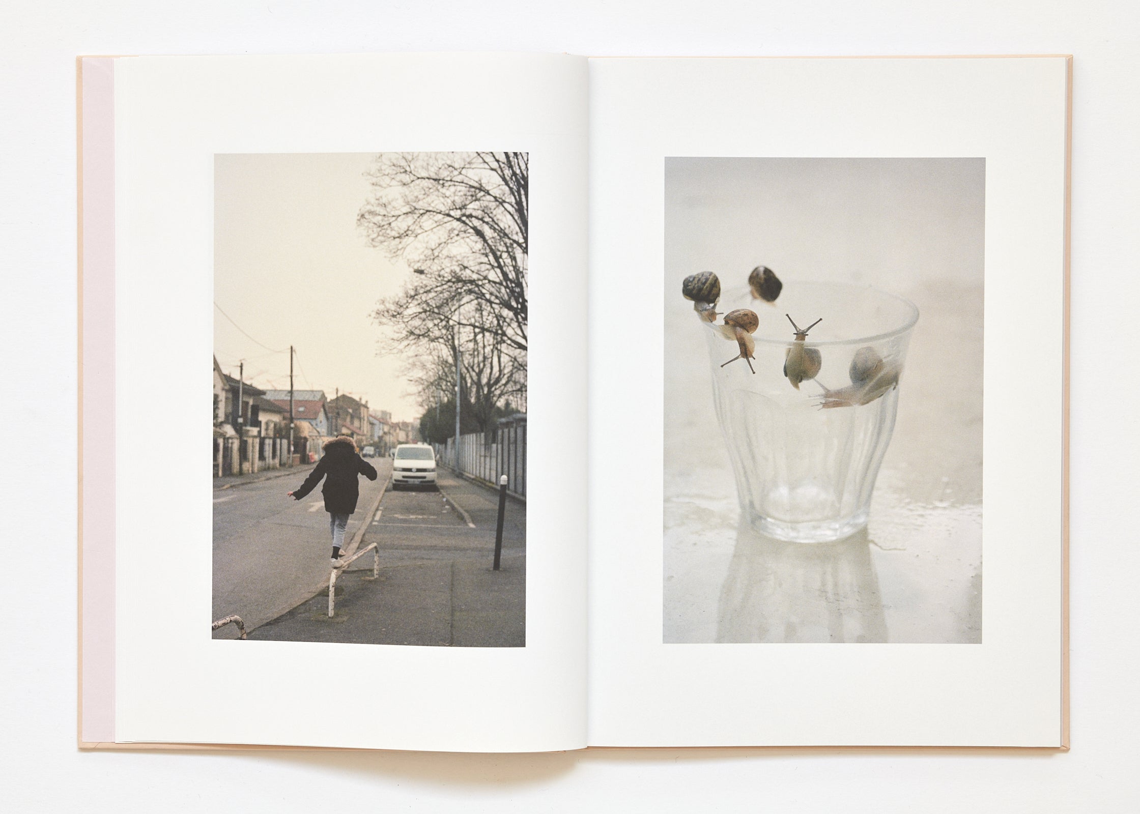 Ola Rindal - The Cloud the Bird and the Puddle