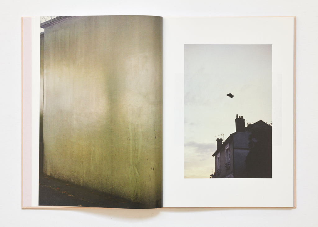 Ola Rindal - The Cloud the Bird and the Puddle