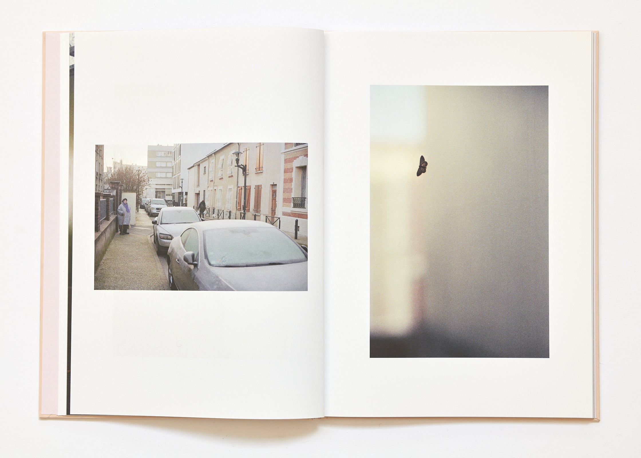 Ola Rindal - The Cloud the Bird and the Puddle