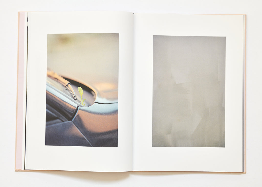 Ola Rindal - The Cloud the Bird and the Puddle