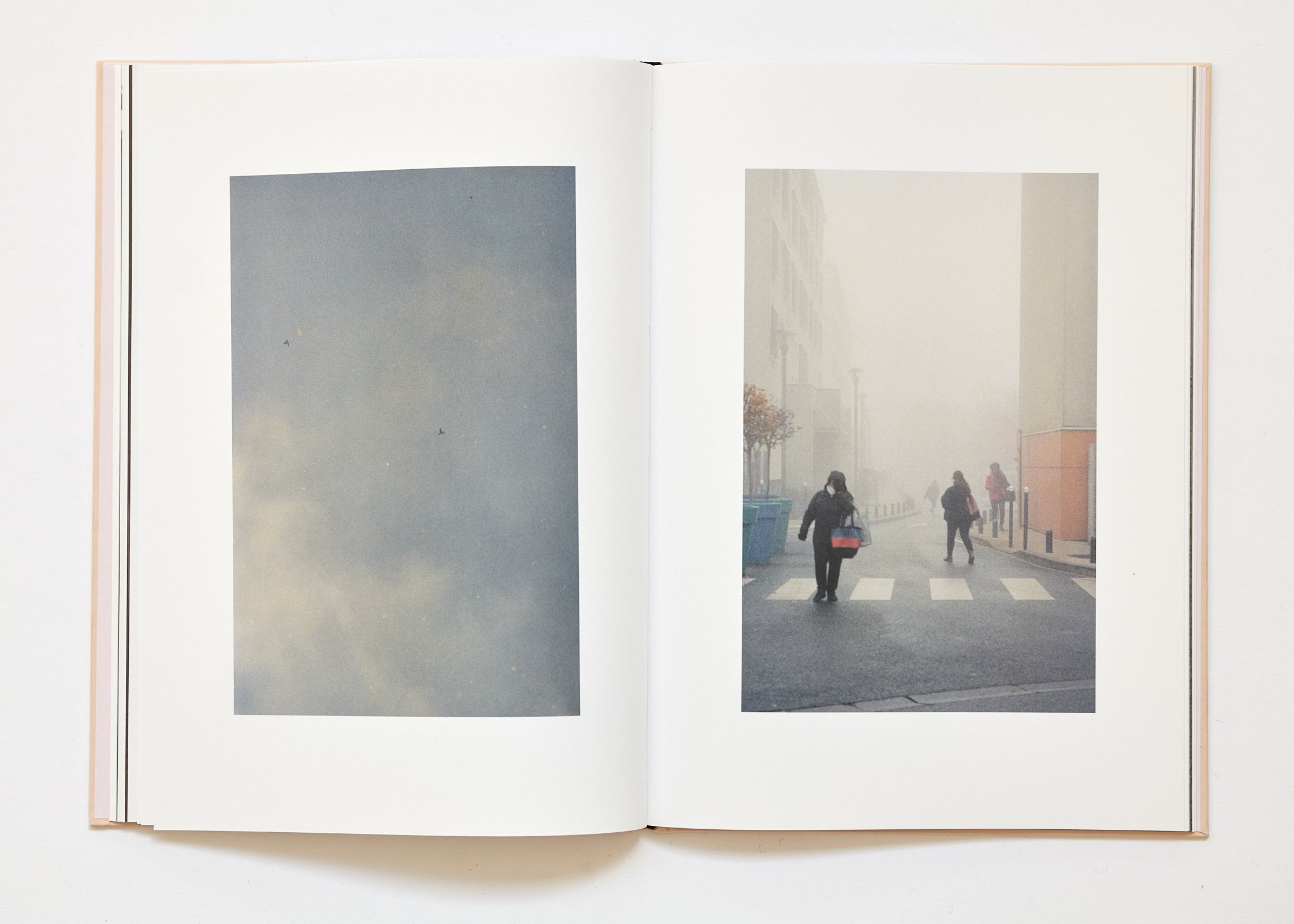 Ola Rindal - The Cloud the Bird and the Puddle