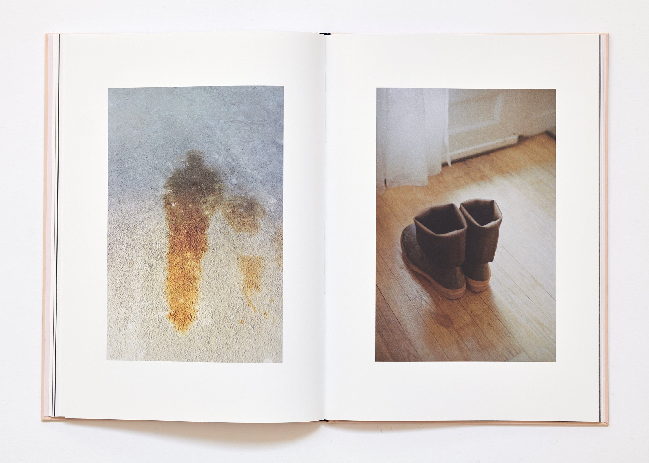 Ola Rindal - The Cloud the Bird and the Puddle