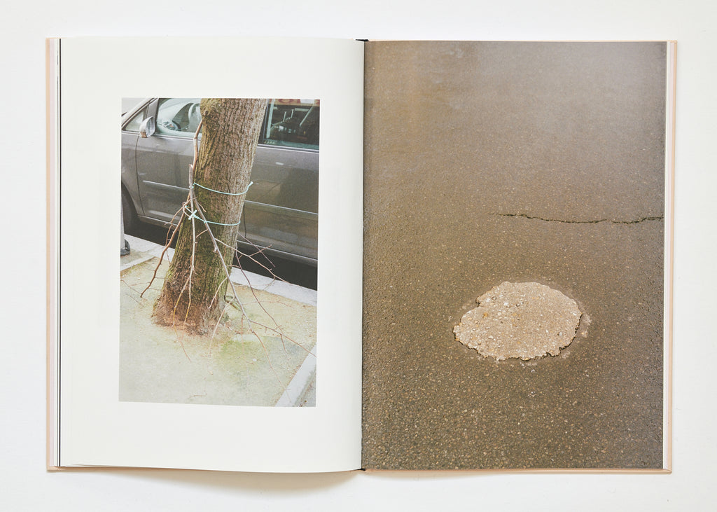 Ola Rindal - The Cloud the Bird and the Puddle