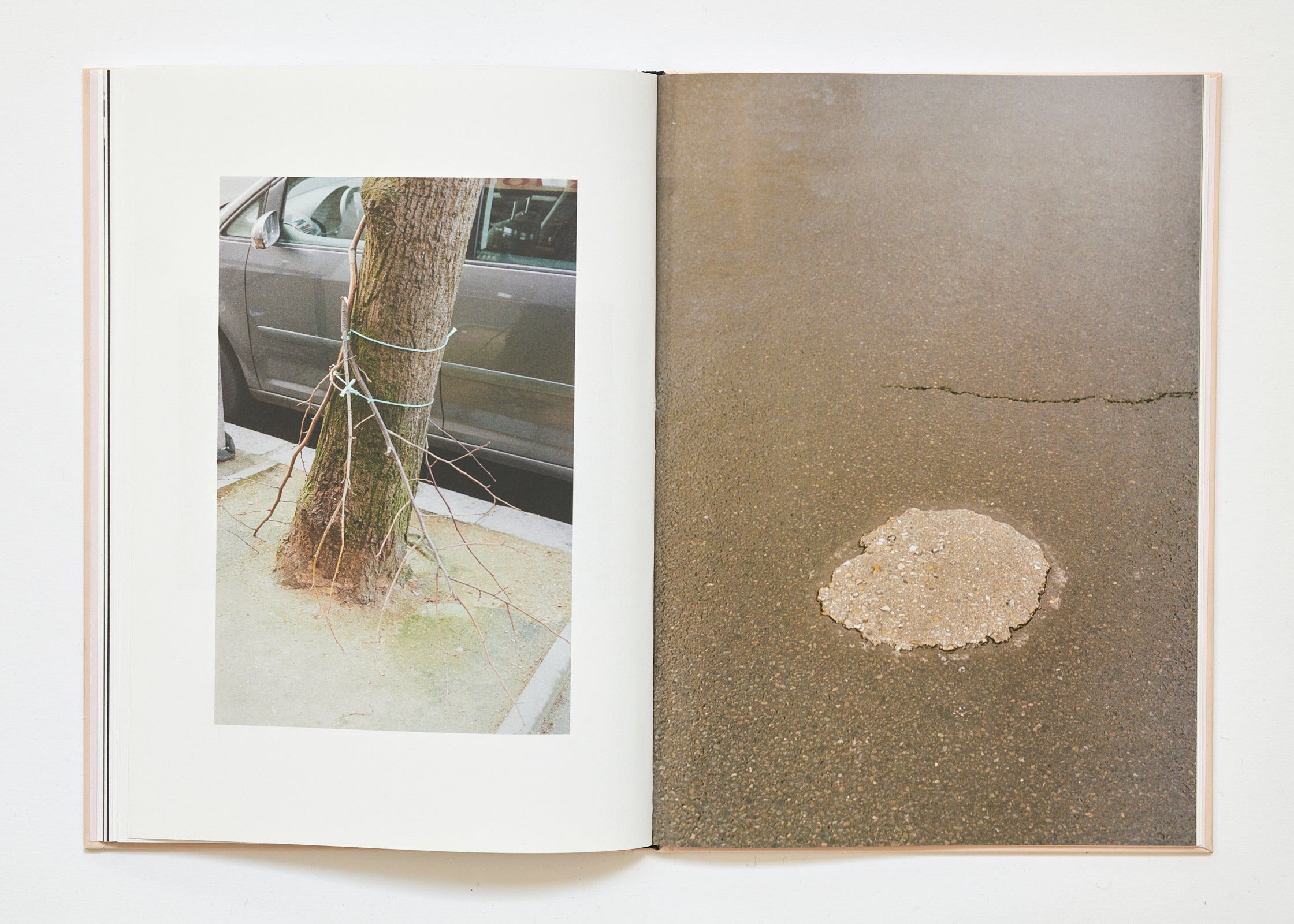 Ola Rindal - The Cloud the Bird and the Puddle