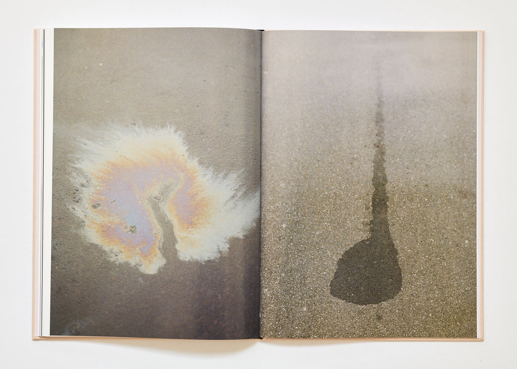 Ola Rindal - The Cloud the Bird and the Puddle