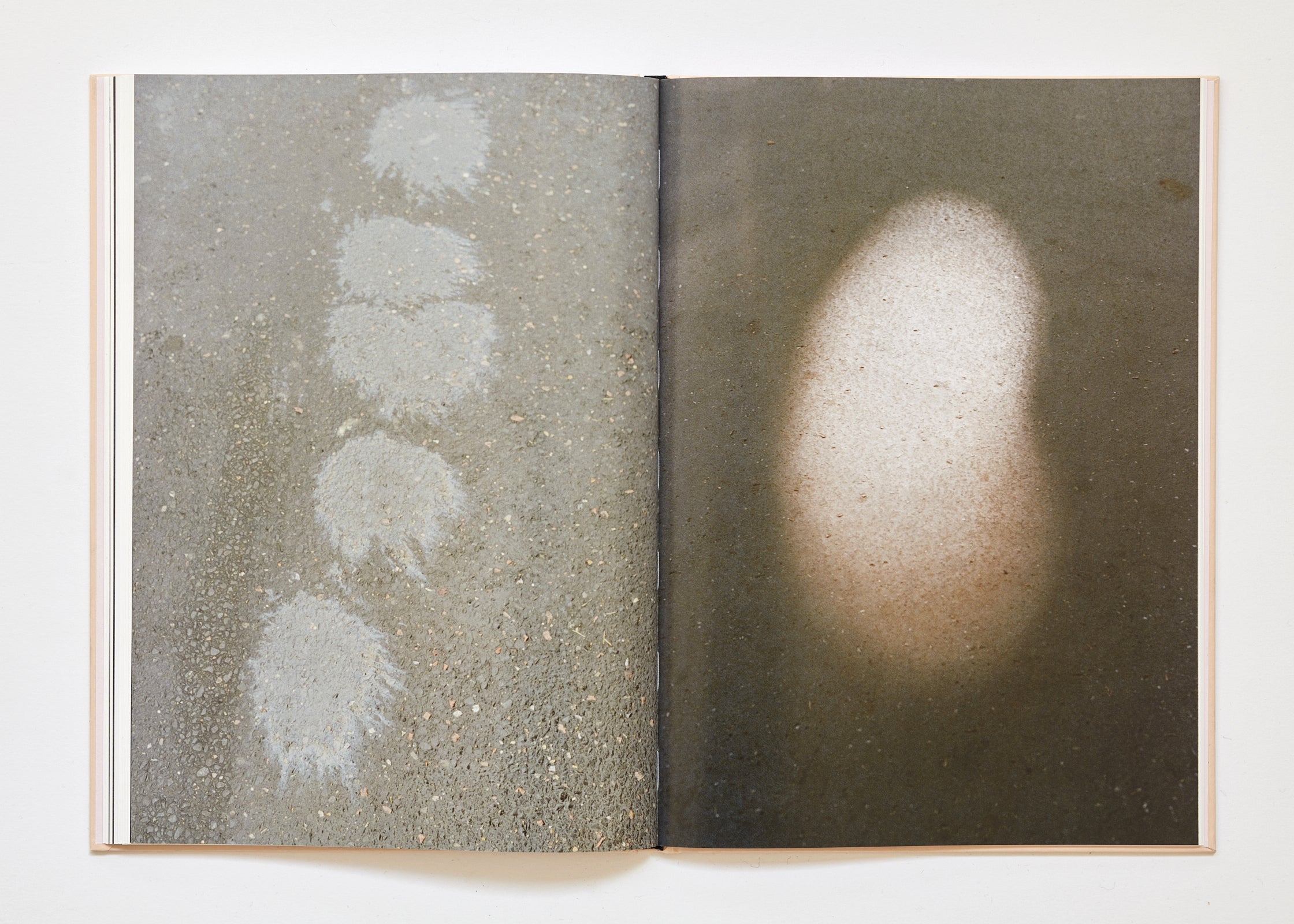 Ola Rindal - The Cloud the Bird and the Puddle