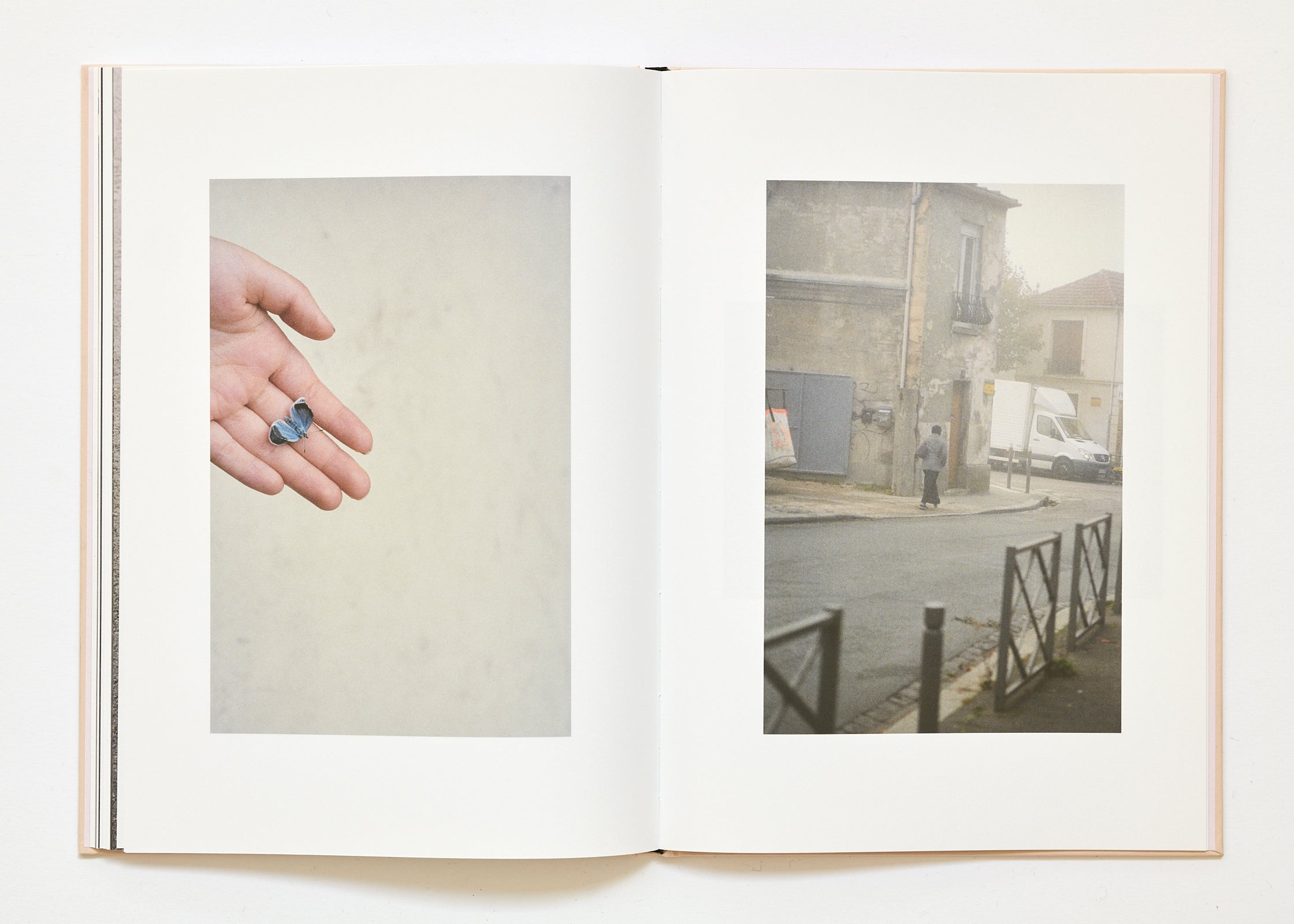 Ola Rindal - The Cloud the Bird and the Puddle