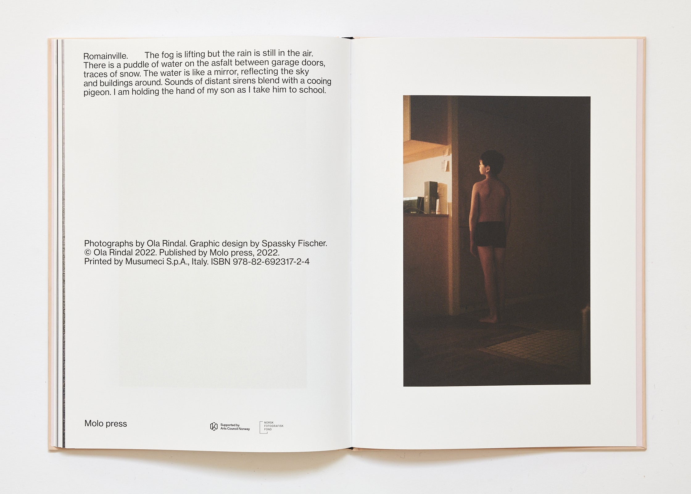 Ola Rindal - The Cloud the Bird and the Puddle