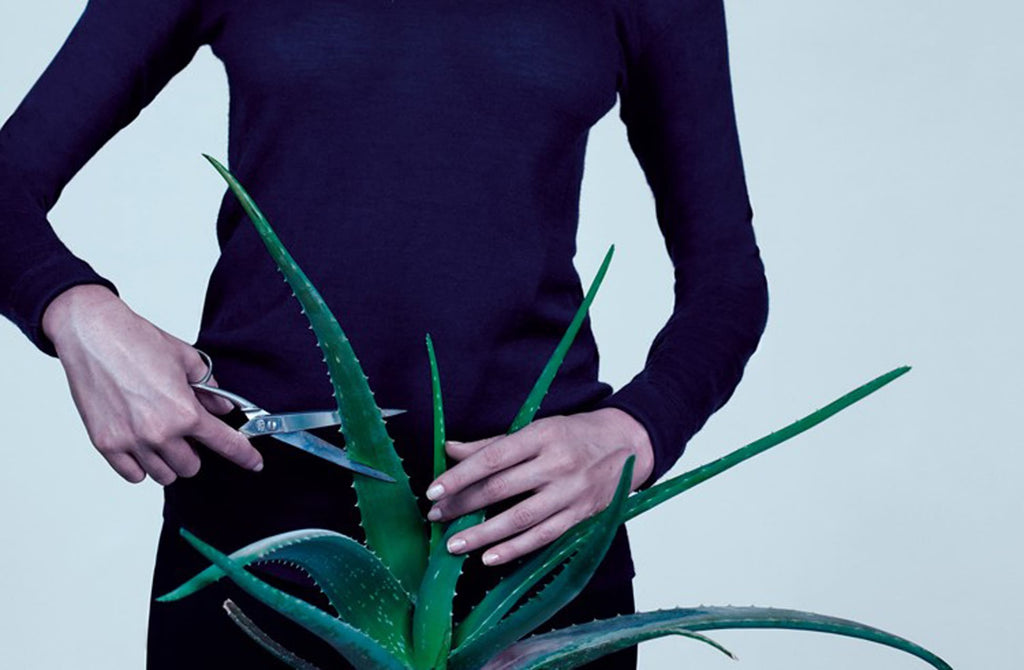 Toilet Paper - N°1 June 2010