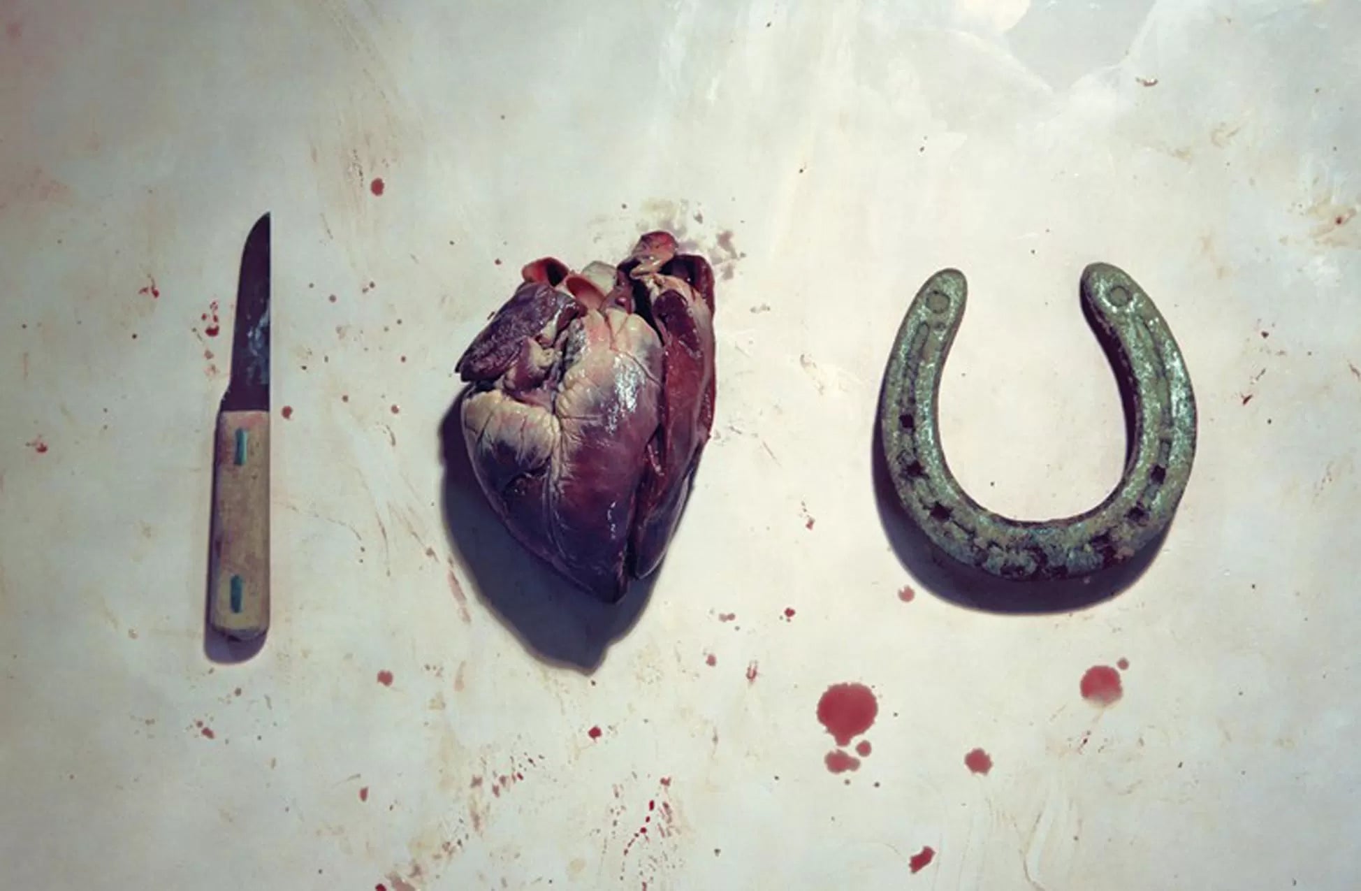 Toilet Paper - N°2 January 2011