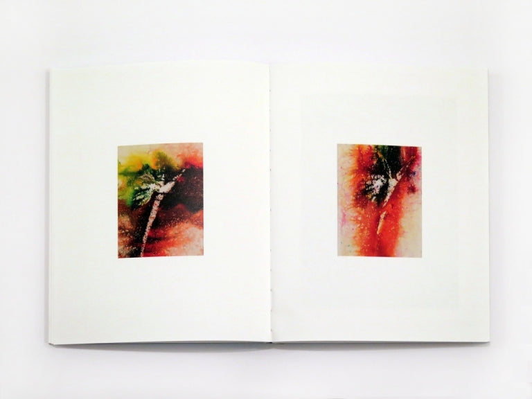 Sam Falls - Plein Air (Special Edition)