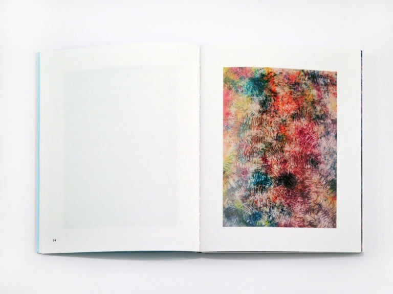 Sam Falls - Plein Air (Special Edition)