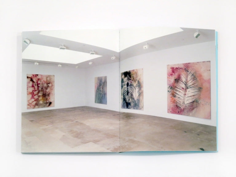 Sam Falls - Plein Air (Special Edition)