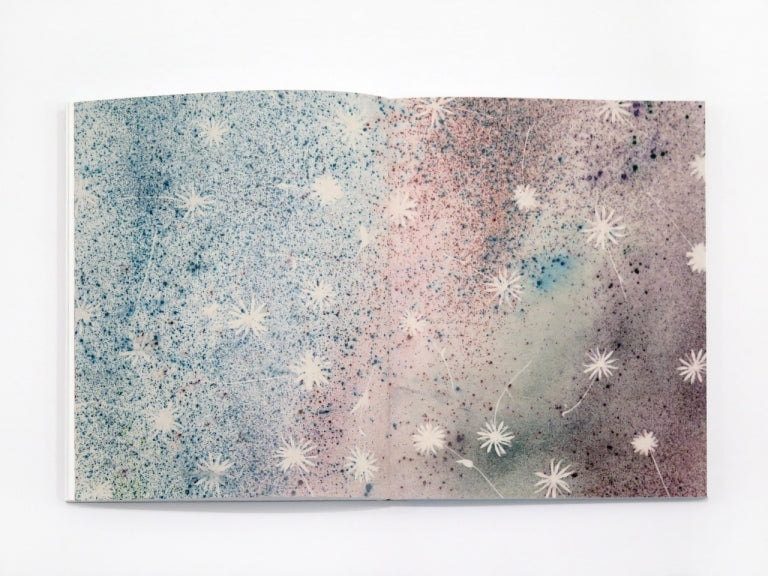 Sam Falls - Plein Air (Special Edition)