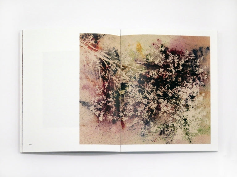 Sam Falls - Plein Air (Special Edition)