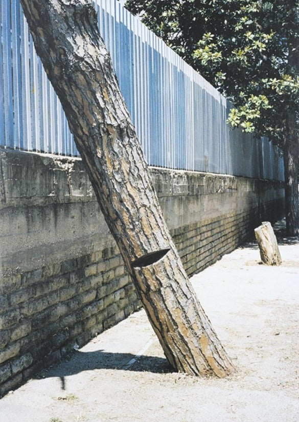 Poster ces éditions