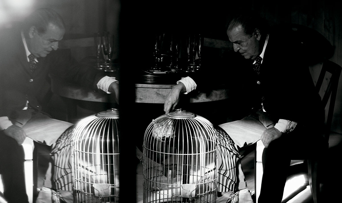 The House of Xavier Corberó